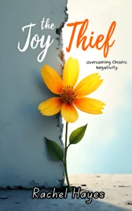 Book Cover: Joy Thief